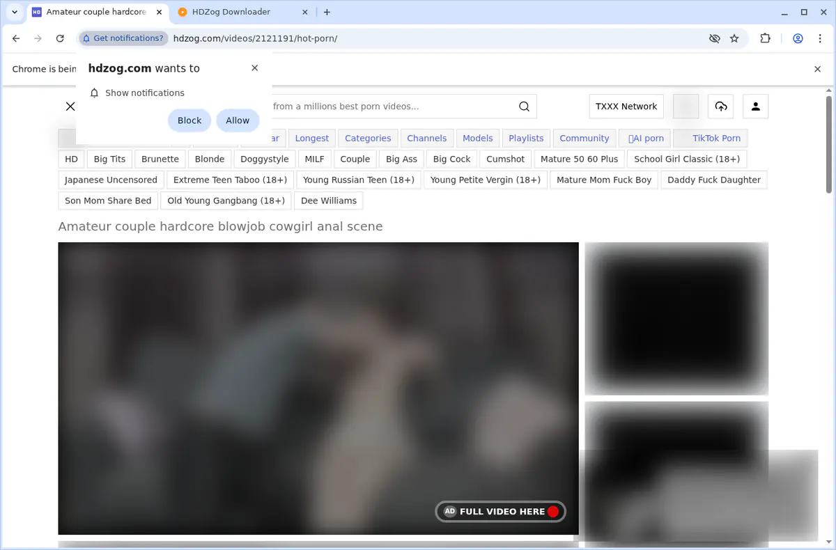 HDZog Video Downloader screenshot 3