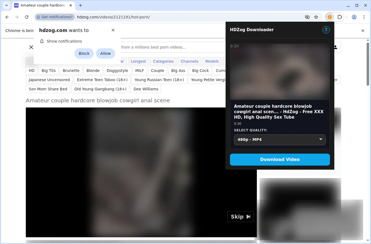 HDZog Video Downloader screenshot 4
